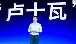 今日爆料卢伟冰简介视频,揭秘手机行业领军人物背后的故事